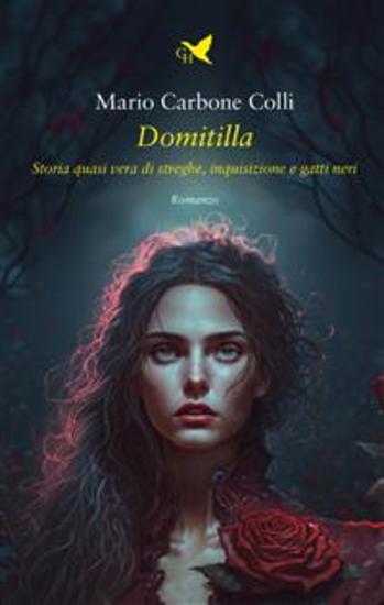 Domitilla - Storia quasi vera di streghe Inquisizione e gatti neri - cover