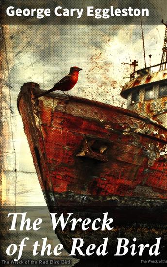 The Wreck of the Red Bird - A Story of the Carolina Coast - cover