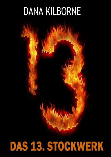 Das 13 Stockwerk - cover