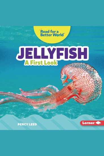 Jellyfish - A First Look - cover