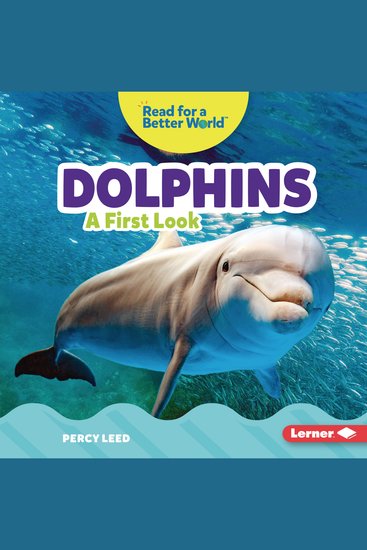 Dolphins - A First Look - cover
