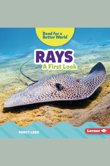 Rays - A First Look - cover