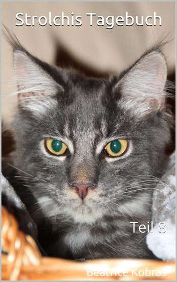 Strolchis Tagebuch - Teil 8 - cover