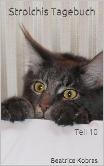 Strolchis Tagebuch - Teil 10 - cover