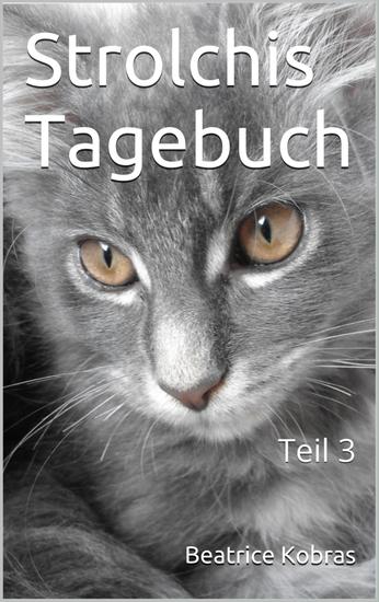 Strolchis Tagebuch - Teil 3 - cover