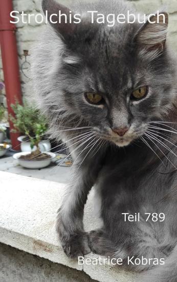 Strolchis Tagebuch - Teil 789 - cover