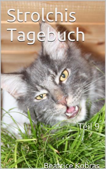 Strolchis Tagebuch - Teil 9 - cover