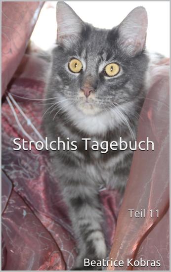 Strolchis Tagebuch - Teil 11 - cover