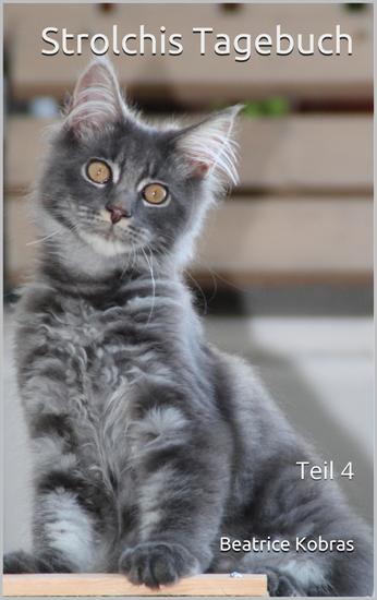 Strolchis Tagebuch - Teil 4 - cover