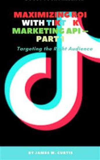 Maximizing ROI with TikTok Marketing API – Part 1 - Targeting the Right Audience - cover
