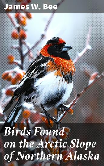 Birds Found on the Arctic Slope of Northern Alaska - Exploring Avian Diversity in the Arctic Slope of Alaska - cover