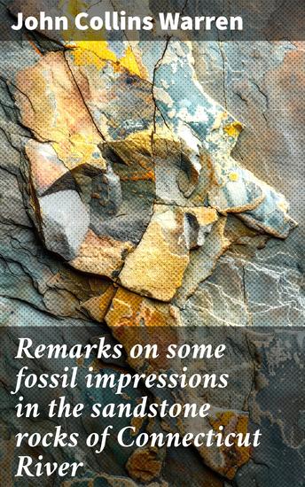 Remarks on some fossil impressions in the sandstone rocks of Connecticut River - Unveiling ancient mysteries in Connecticut River's sandstone rocks - cover