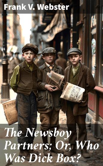The Newsboy Partners; Or Who Was Dick Box? - The Enigmatic Mystery of the Missing Newsboy - cover