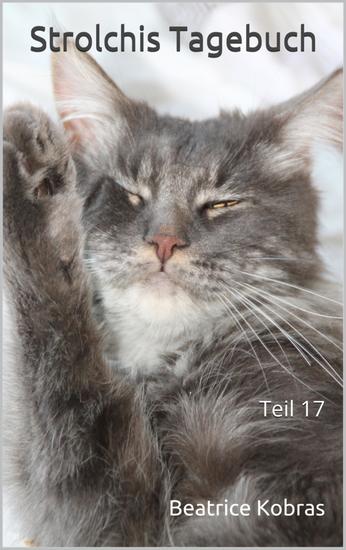 Strolchis Tagebuch - Teil 17 - cover