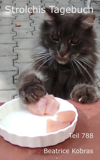 Strolchis Tagebuch - Teil 788 - cover