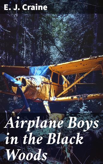 Airplane Boys in the Black Woods - A Thrilling Adventure Through Mysterious Woods and Airplane Expeditions - cover