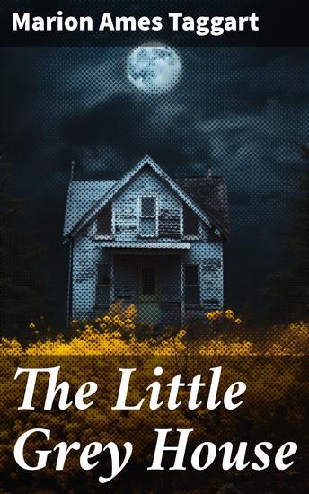 The Little Grey House - A Tale of Love Loss and Resilience in Small-Town America - cover