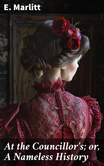 At the Councillor's; or A Nameless History - Society Romance and Identity: A 19th-century Tale of Love and Struggle - cover