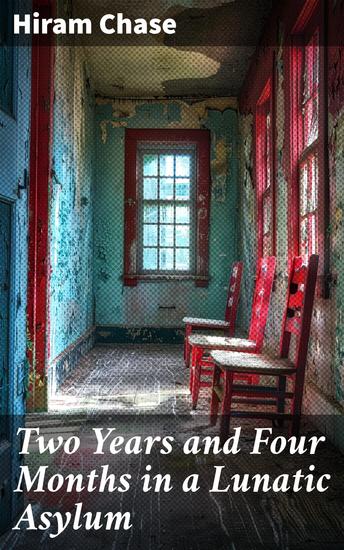 Two Years and Four Months in a Lunatic Asylum - From August 20th 1863 to December 20th 1865 - cover
