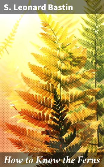 How to Know the Ferns - A Comprehensive Field Guide to Identifying Fern Species with Detailed Botanical Illustrations - cover