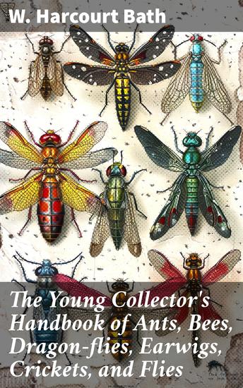 The Young Collector's Handbook of Ants Bees Dragon-flies Earwigs Crickets and Flies - Hymenoptera Neuroptera Orthoptera Hemiptera Diptera - cover