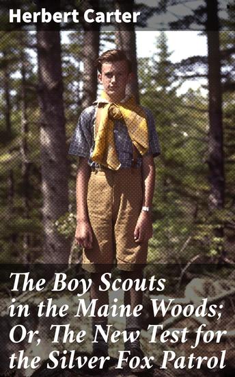 The Boy Scouts in the Maine Woods; Or The New Test for the Silver Fox Patrol - Courage teamwork and wilderness survival in Maine - cover