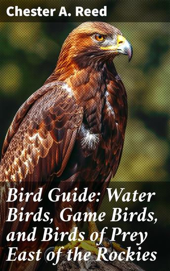 Bird Guide: Water Birds Game Birds and Birds of Prey East of the Rockies - Comprehensive Guide to Eastern Bird Species and Behaviors - cover