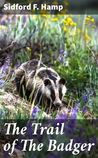 The Trail of The Badger - A Story of the Colorado Border Thirty Years Ago - cover