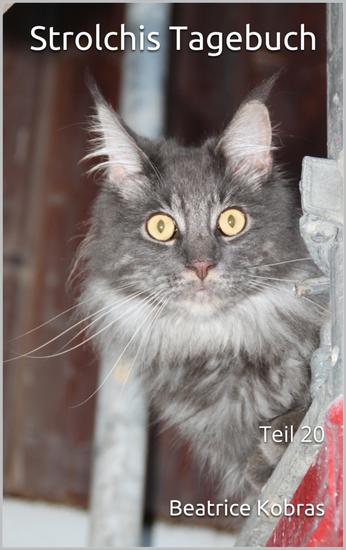 Strolchis Tagebuch - Teil 20 - cover