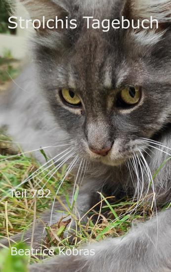Strolchis Tagebuch - Teil 792 - cover