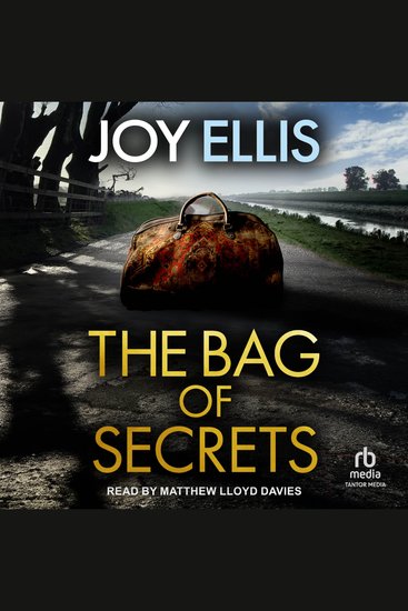 The Bag of Secrets - cover