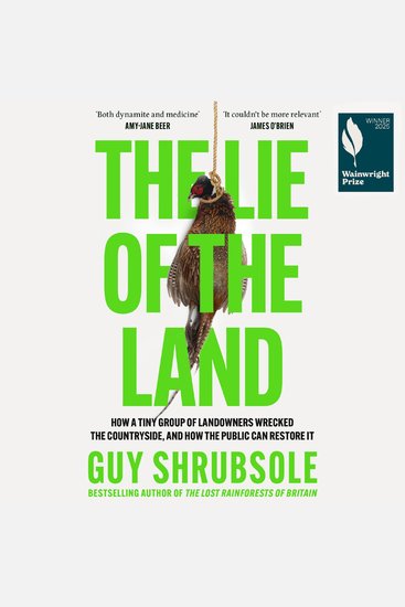 The Lie of the Land - cover