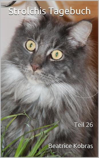 Strolchis Tagebuch - Teil 26 - cover