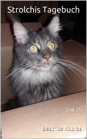 Strolchis Tagebuch - Teil 25 - Teil 25 - cover
