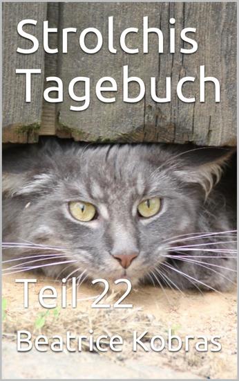 Strolchis Tagebuch - Teil 22 - cover