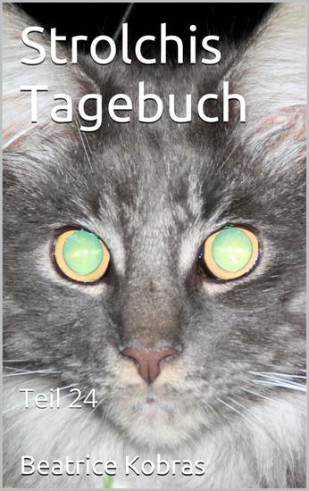 Strolchis Tagebuch - Teil 24 - Teil 24 - cover