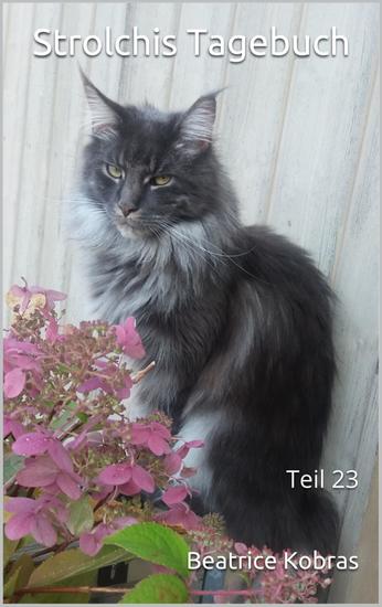 Strolchis Tagebuch - Teil 23 - cover