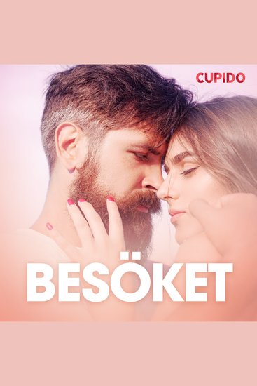 Besöket – erotisk novell - cover