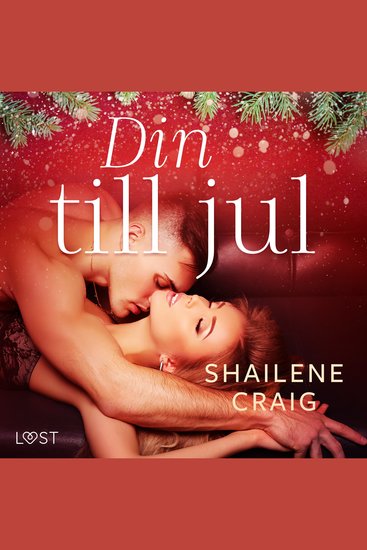 Din till jul - erotisk julnovell - cover