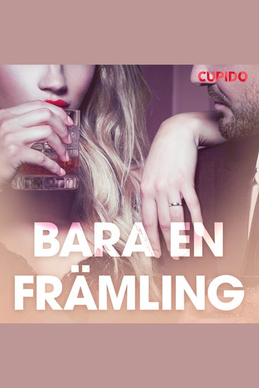 Bara en främling - erotiska noveller - cover