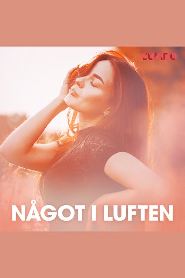 Något i luften - erotiska noveller - cover