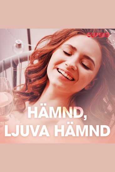 Hämnd ljuva hämnd - erotiska noveller - cover