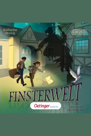 Finsterwelt 2 Die magische Meisterschaft - cover