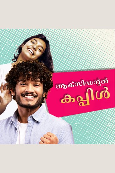 Accidental Couple - cover