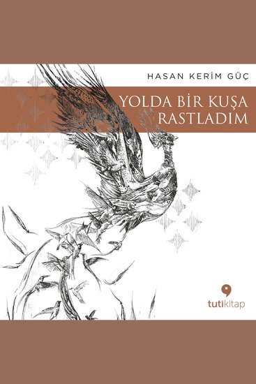 Yolda Bir Kuşa Rastladım - cover
