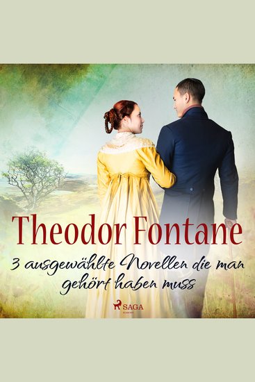 Theodor Fontane – 3 ausgewählte Novellen die man gehört haben muss - cover