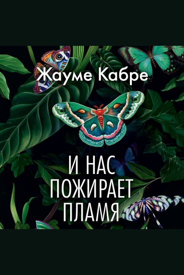 И нас пожирает пламя - cover