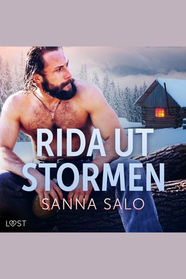 Rida ut stormen - erotisk novell - cover