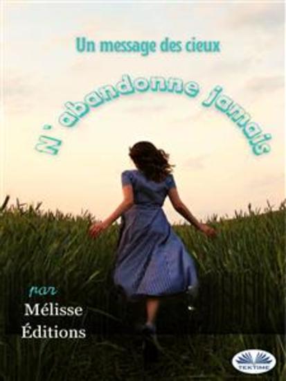 N'Abandonne Jamais - Un Message Des Cieux - cover