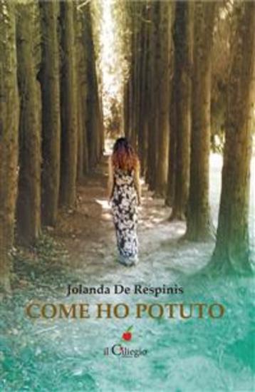 Come ho potuto - cover